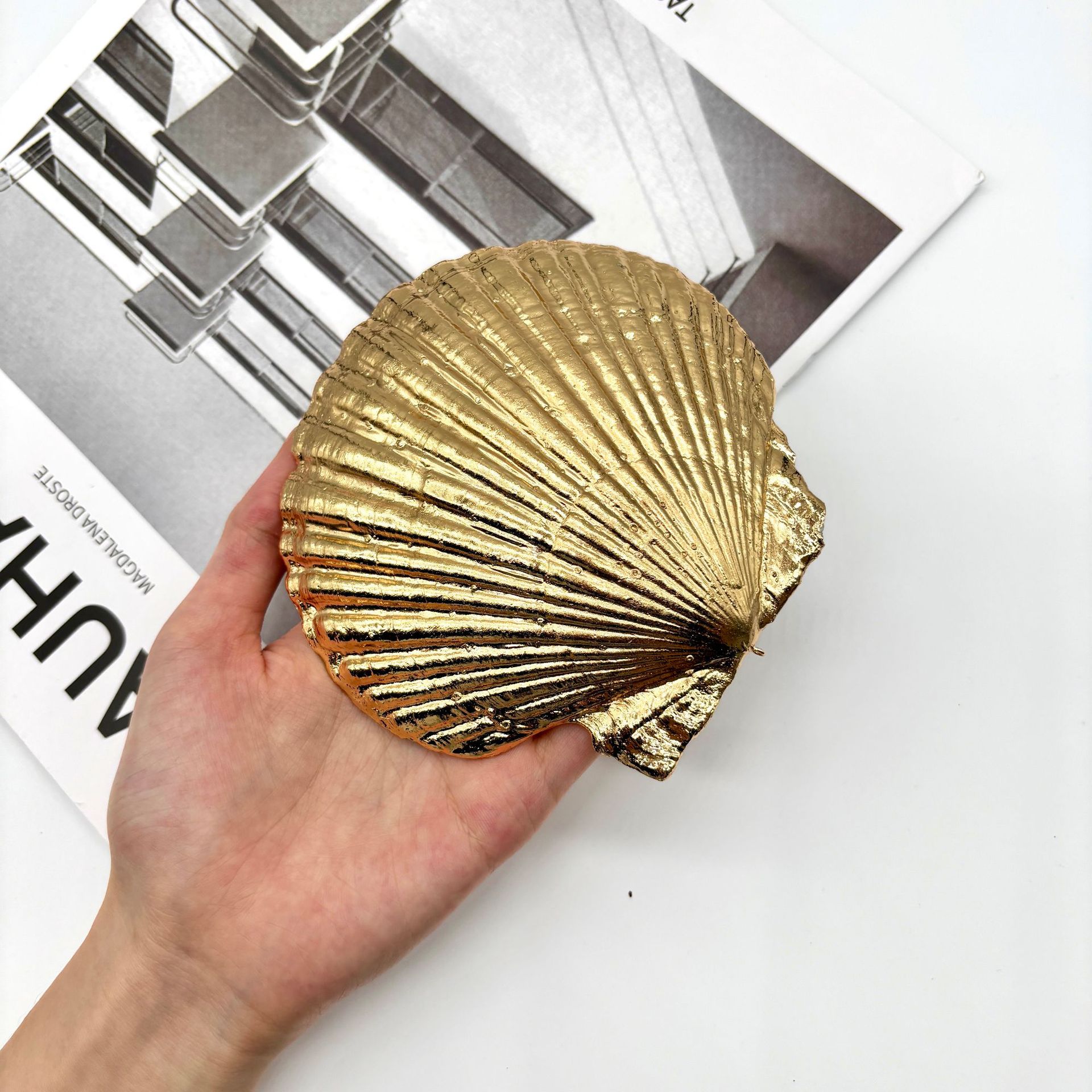 Golden large scallop (super large) 115mm