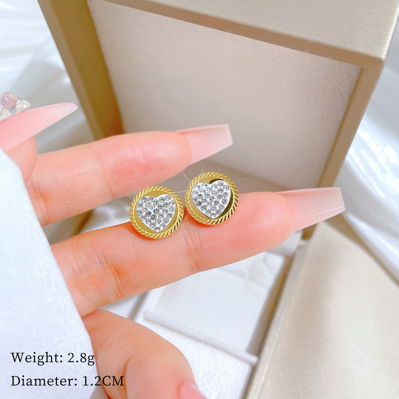 T216 earrings [full body titanium steel]]