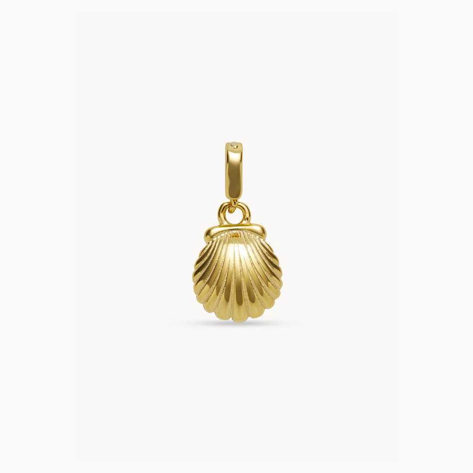 Shell Pendant