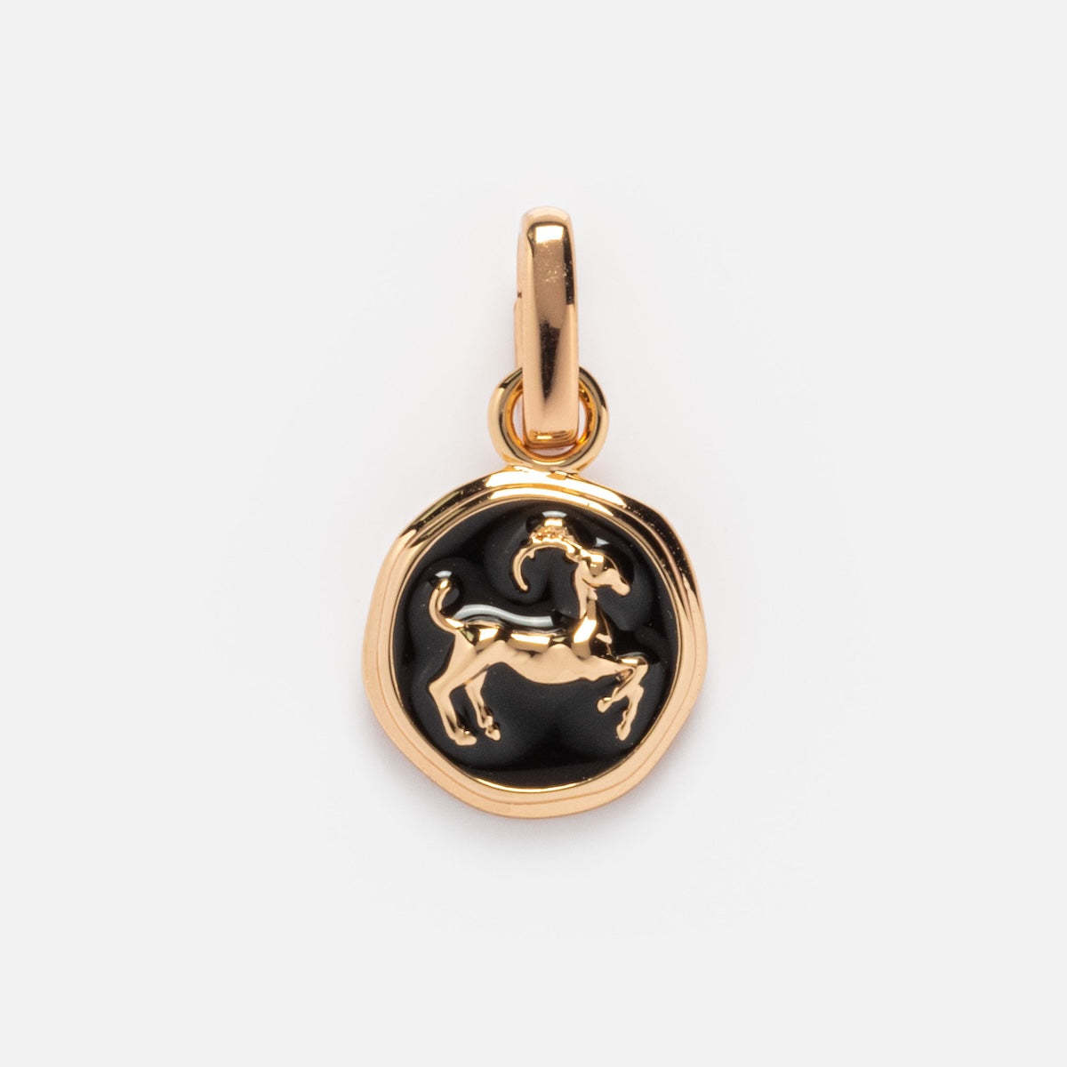 Capricorn pendant