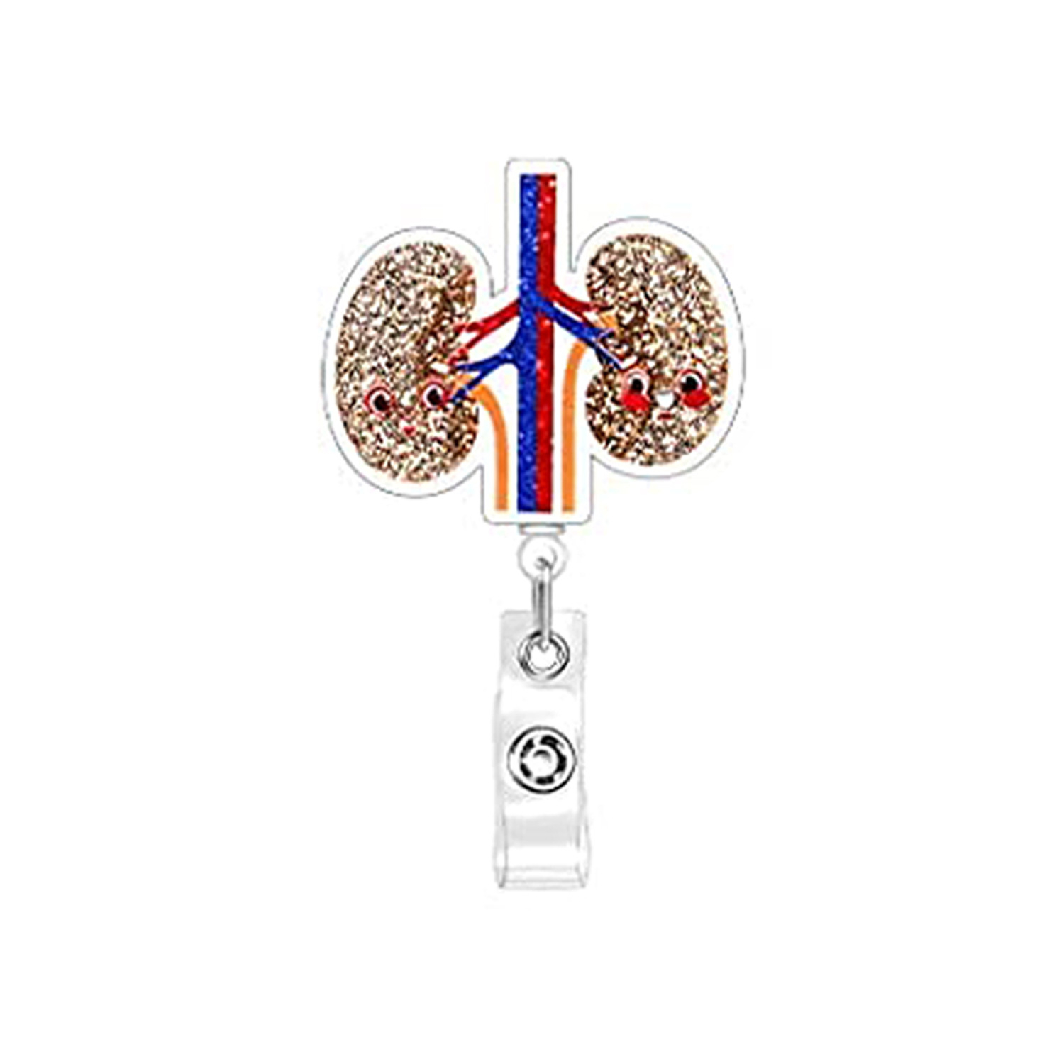 Kidney