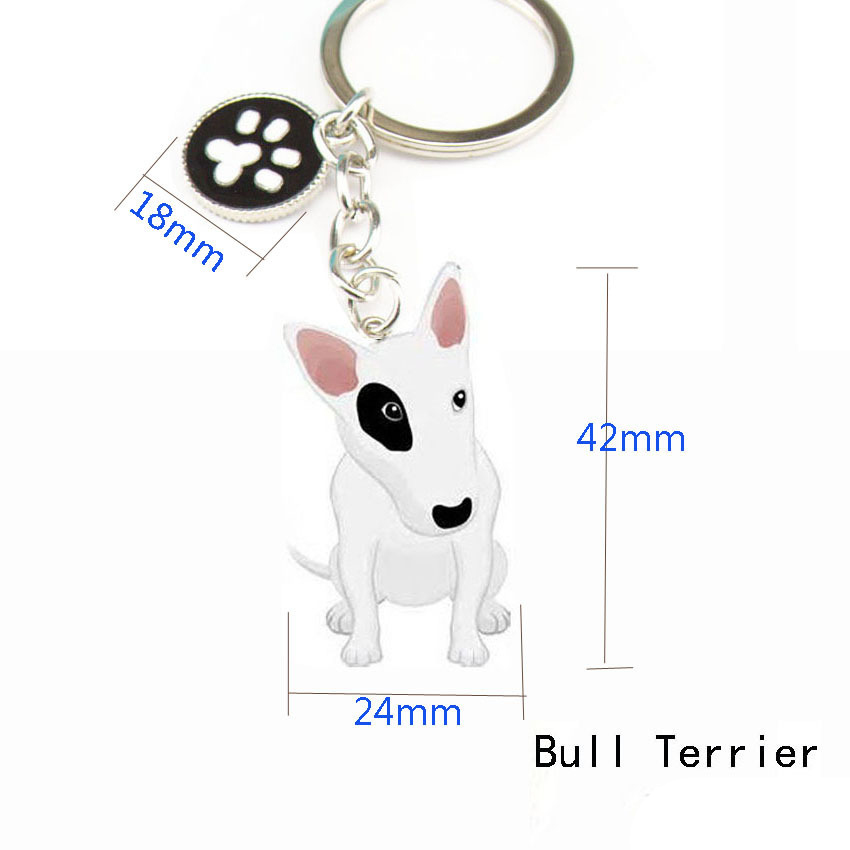 Bull terrier feet