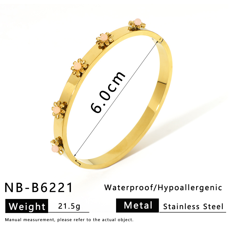 NB-B6221