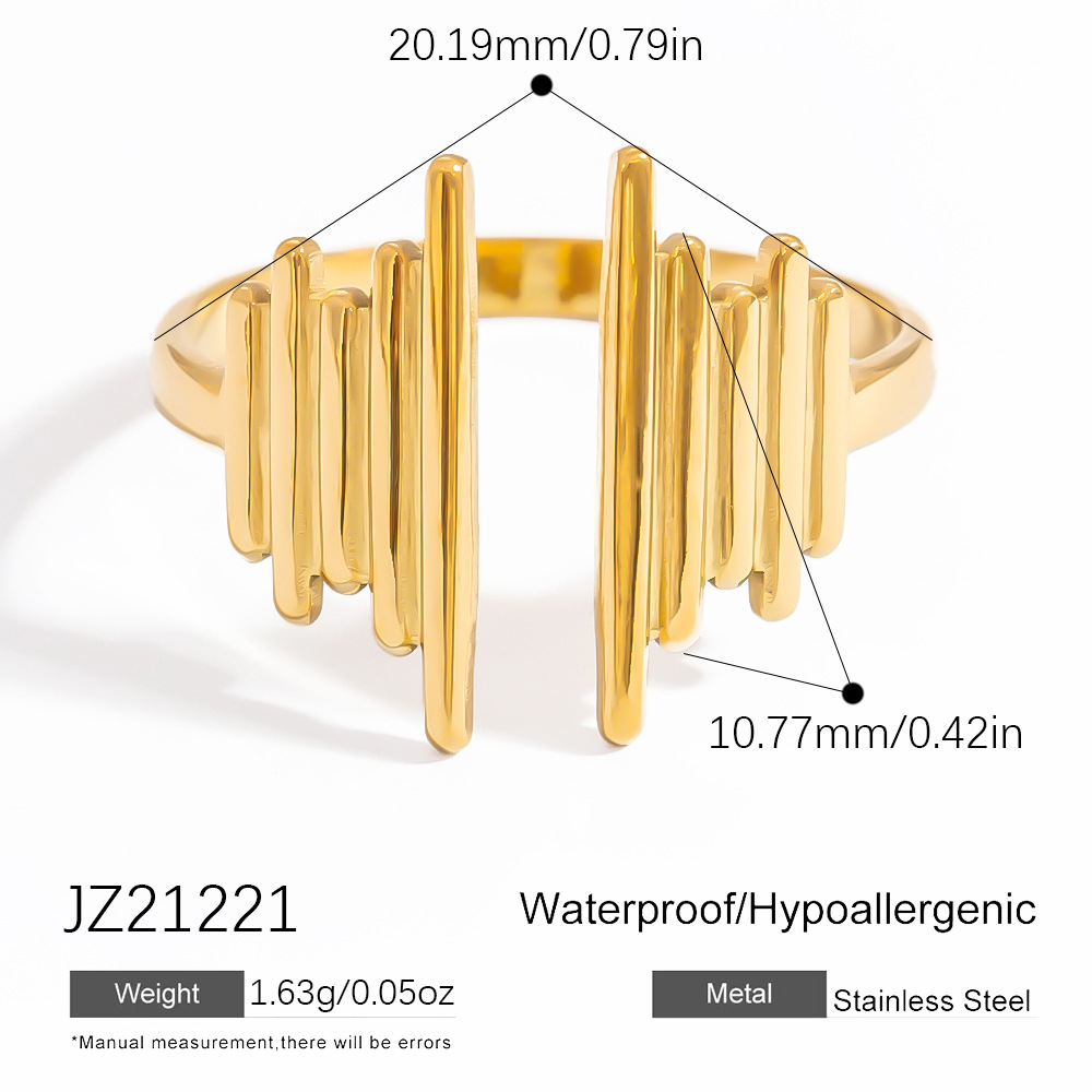 JZ21221