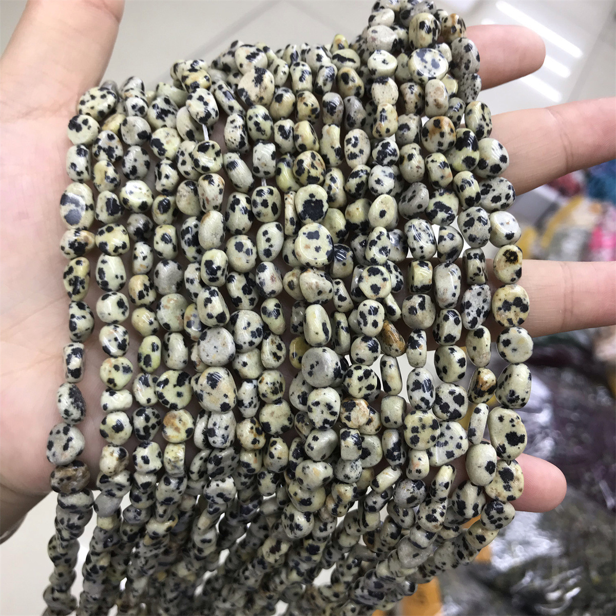 18-spotted stone