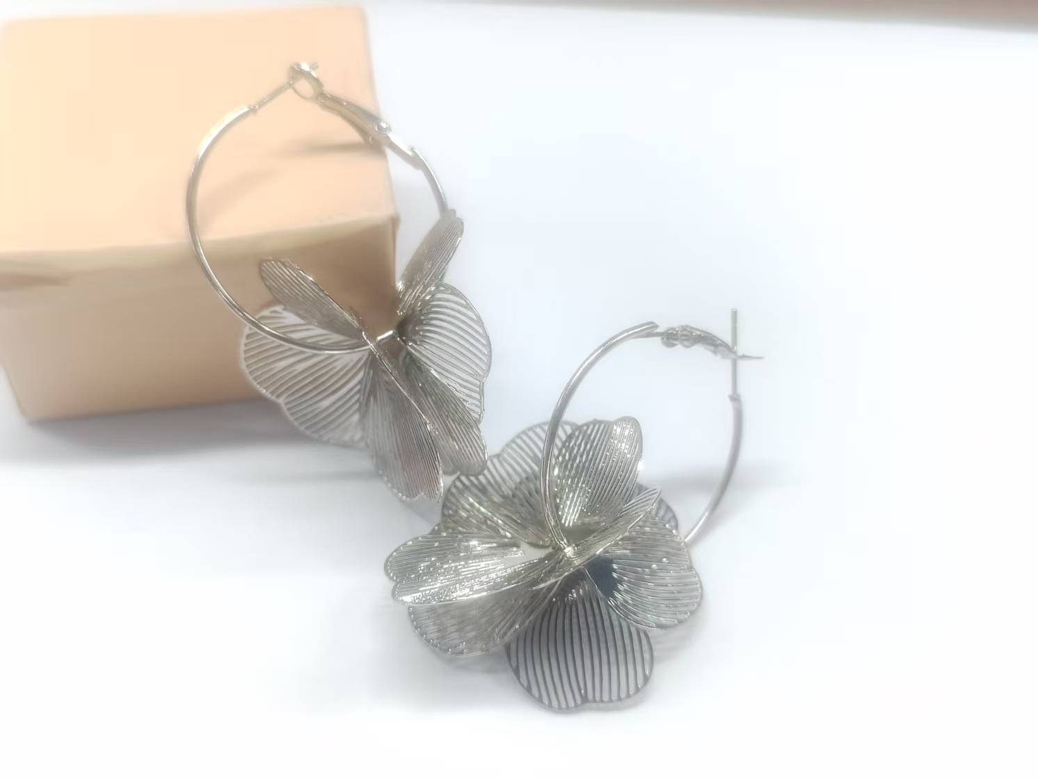 Earrings-silver