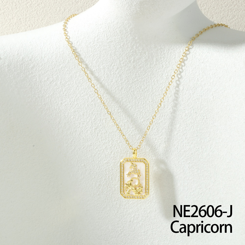 Ne2606-capricorn