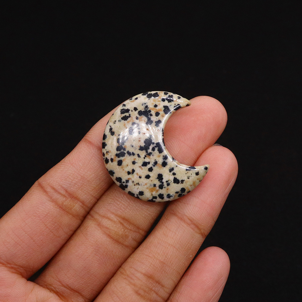 dalmatian