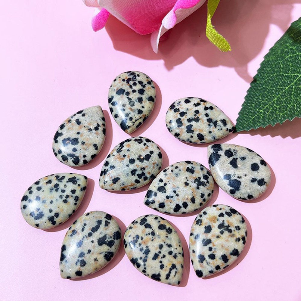 dalmatian