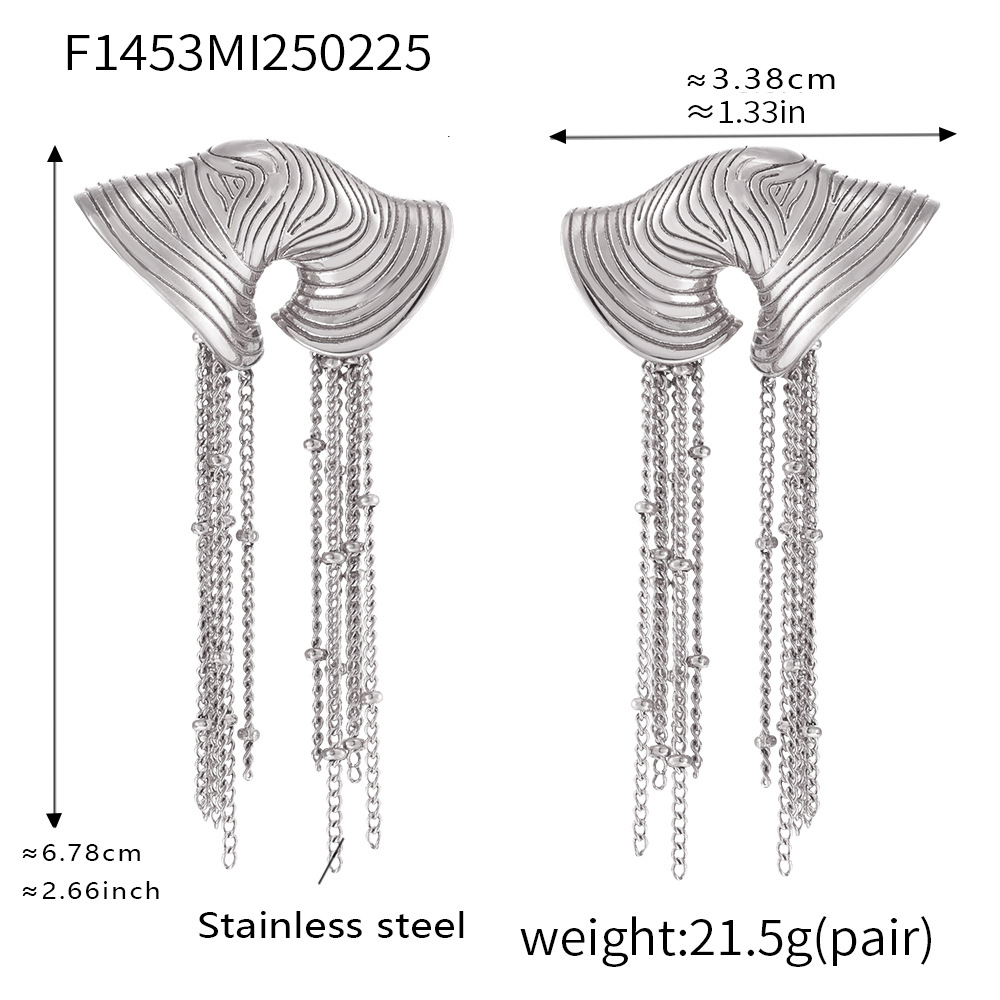 F1453-Steel earrings
