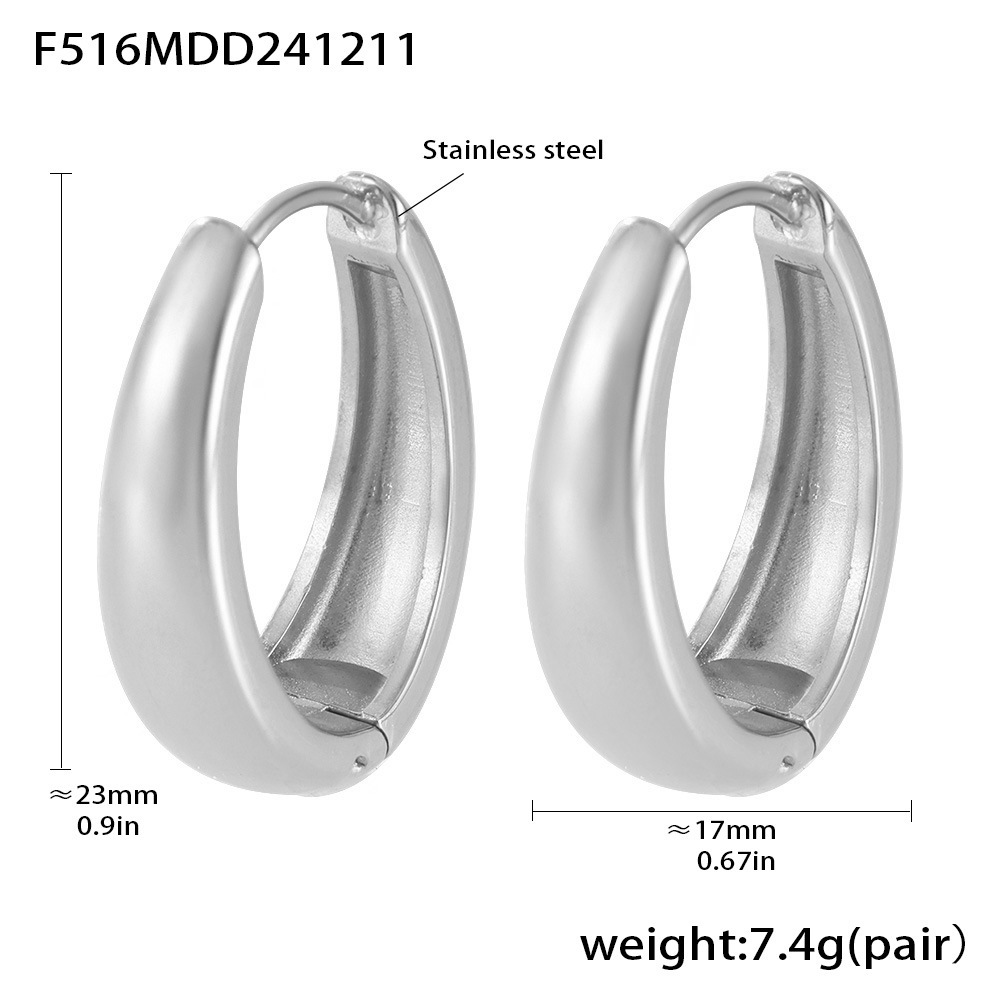 F516-steel color earrings