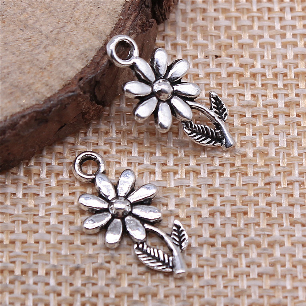 couleur argent antique