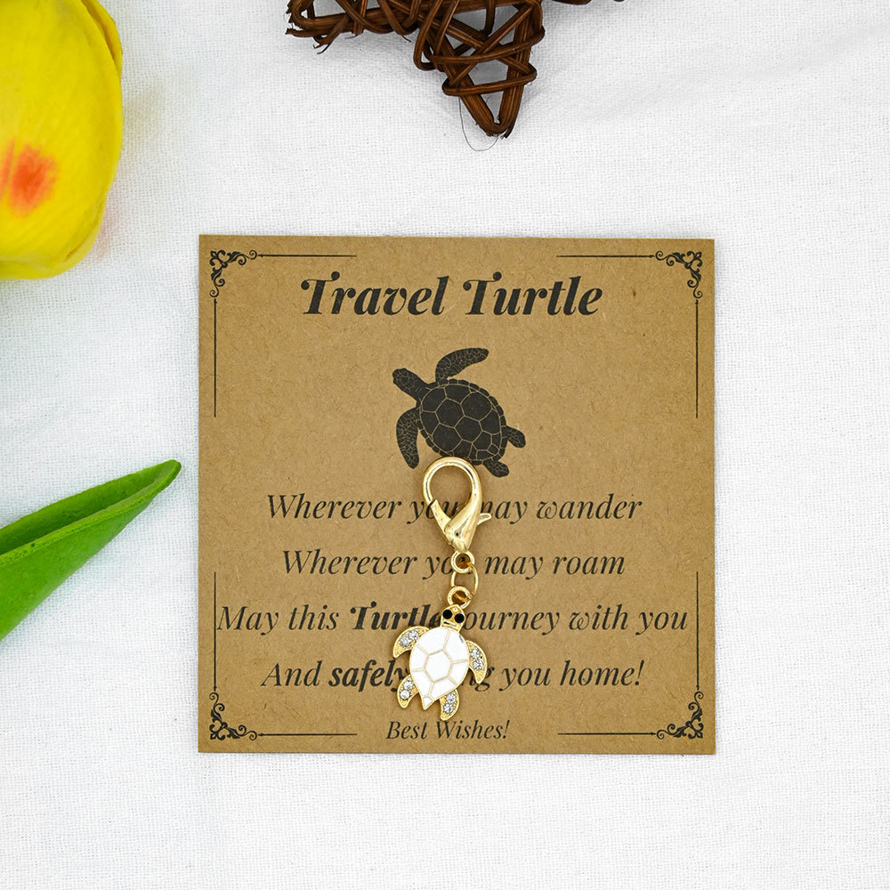 White turtle + cardboard