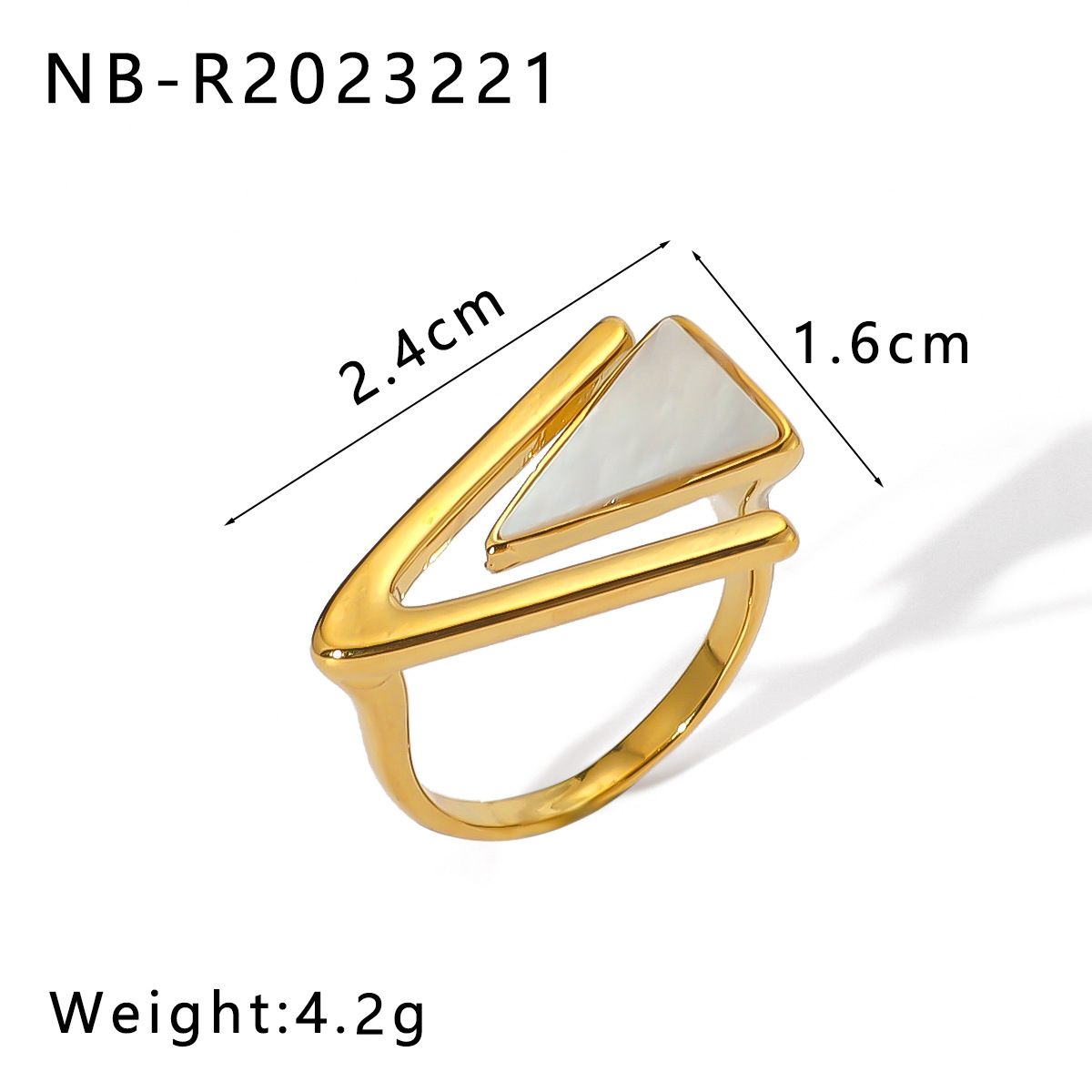 NB-R2023221