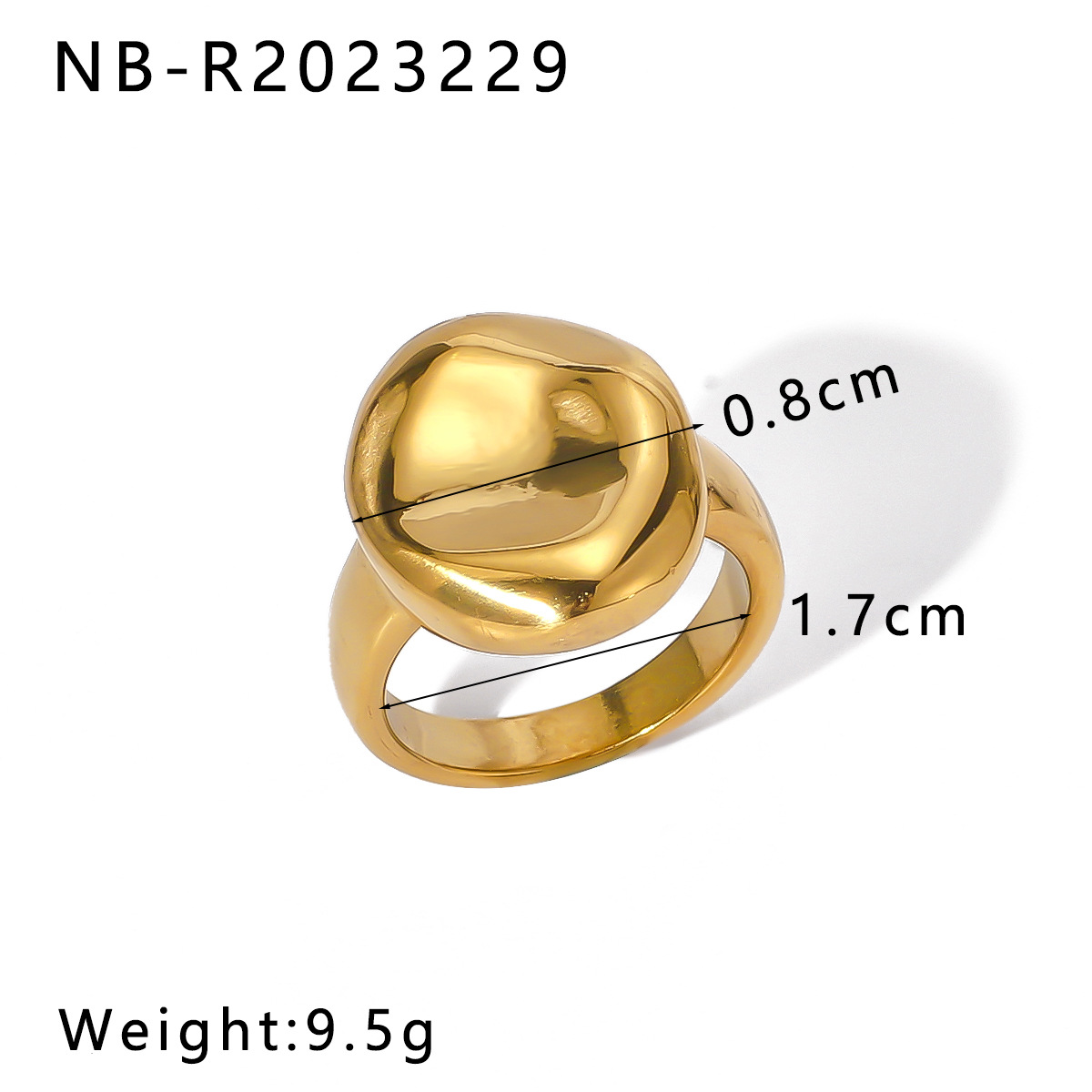 NB-R2023229