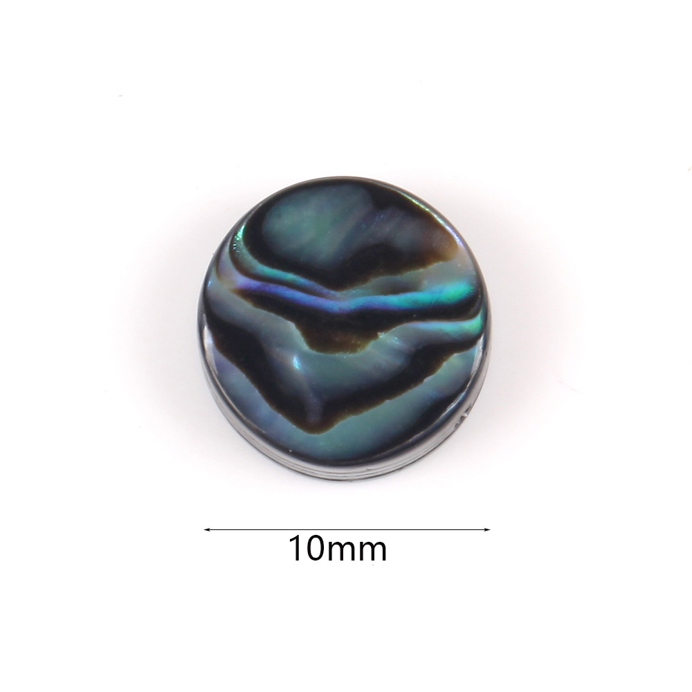10mm round abalone shellfish