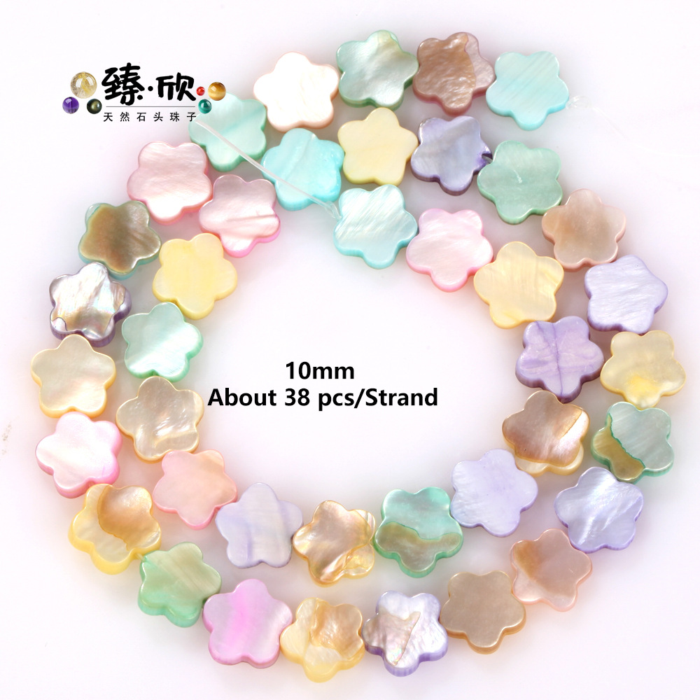 Macaron shell 10mm plum blossom