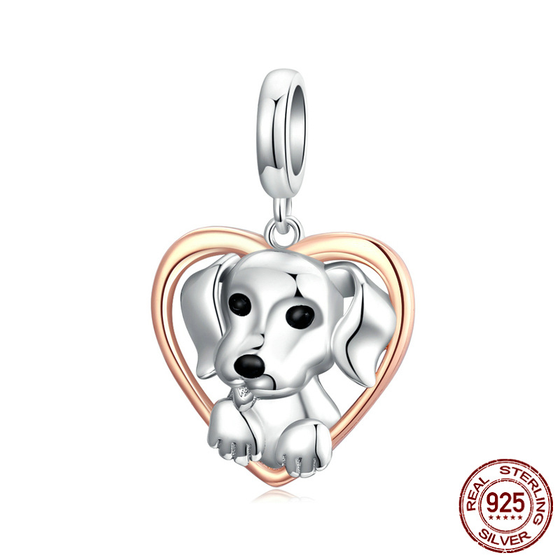 SCC1611 cute puppy