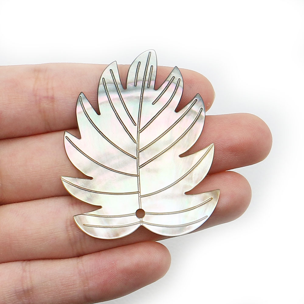 coquille blanche