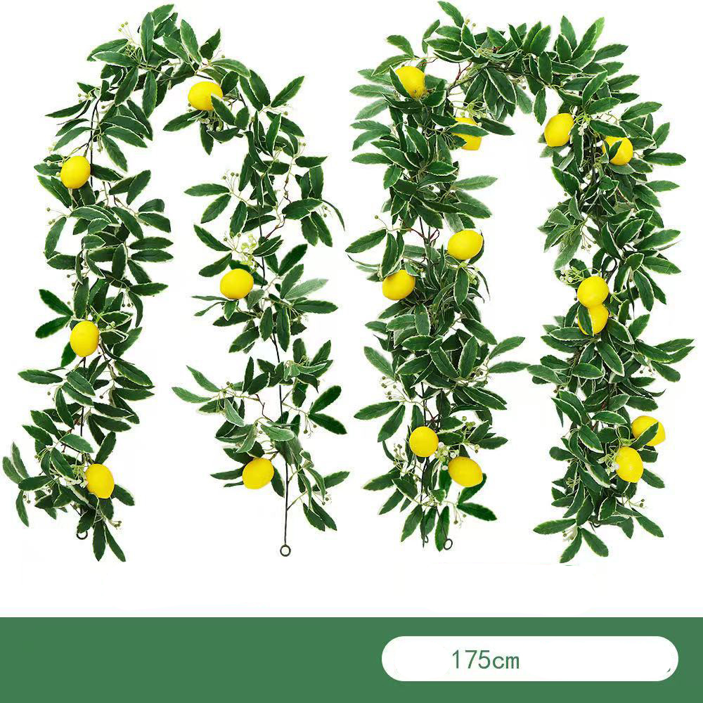Dragonfly Lemon A