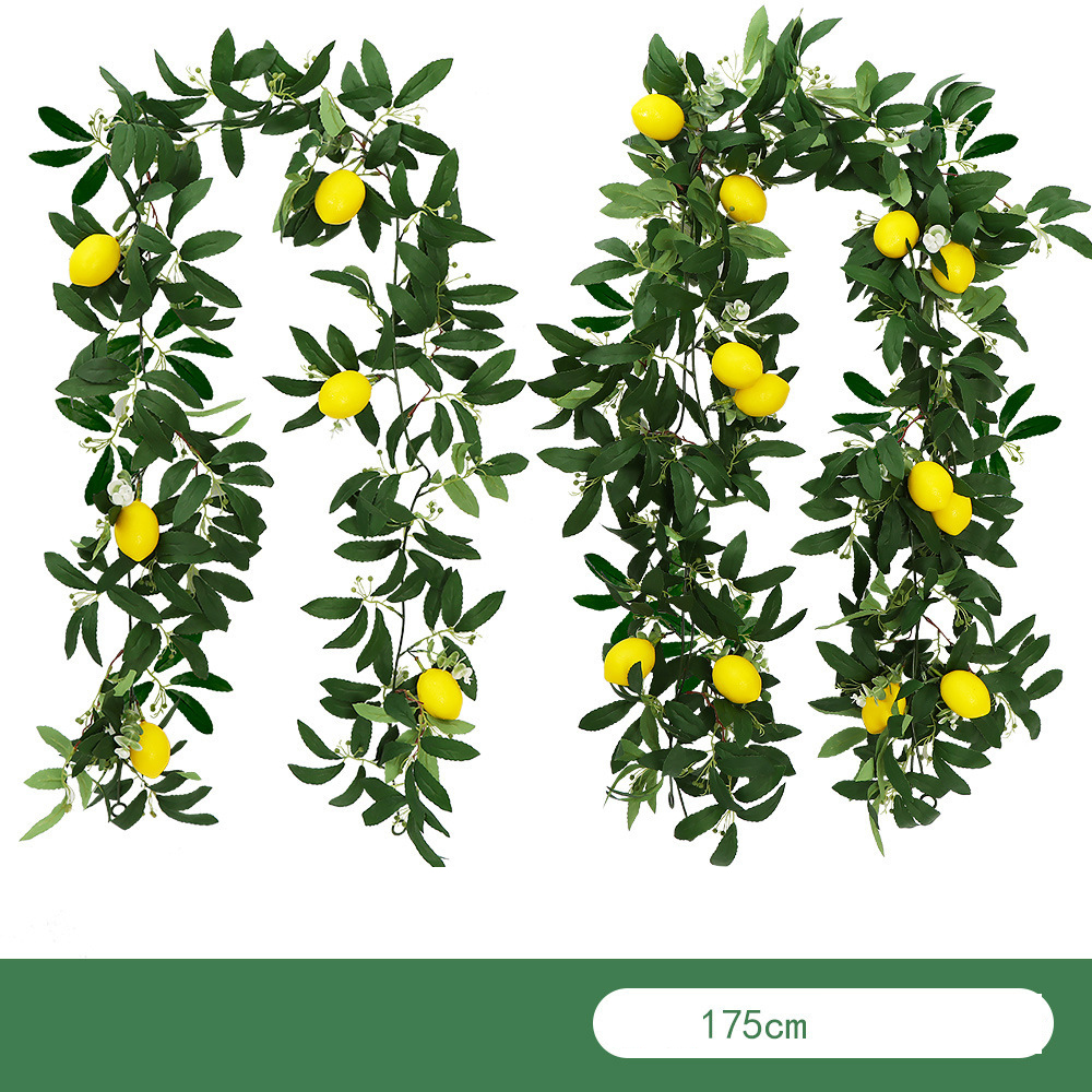 Dragonfly Lemon B