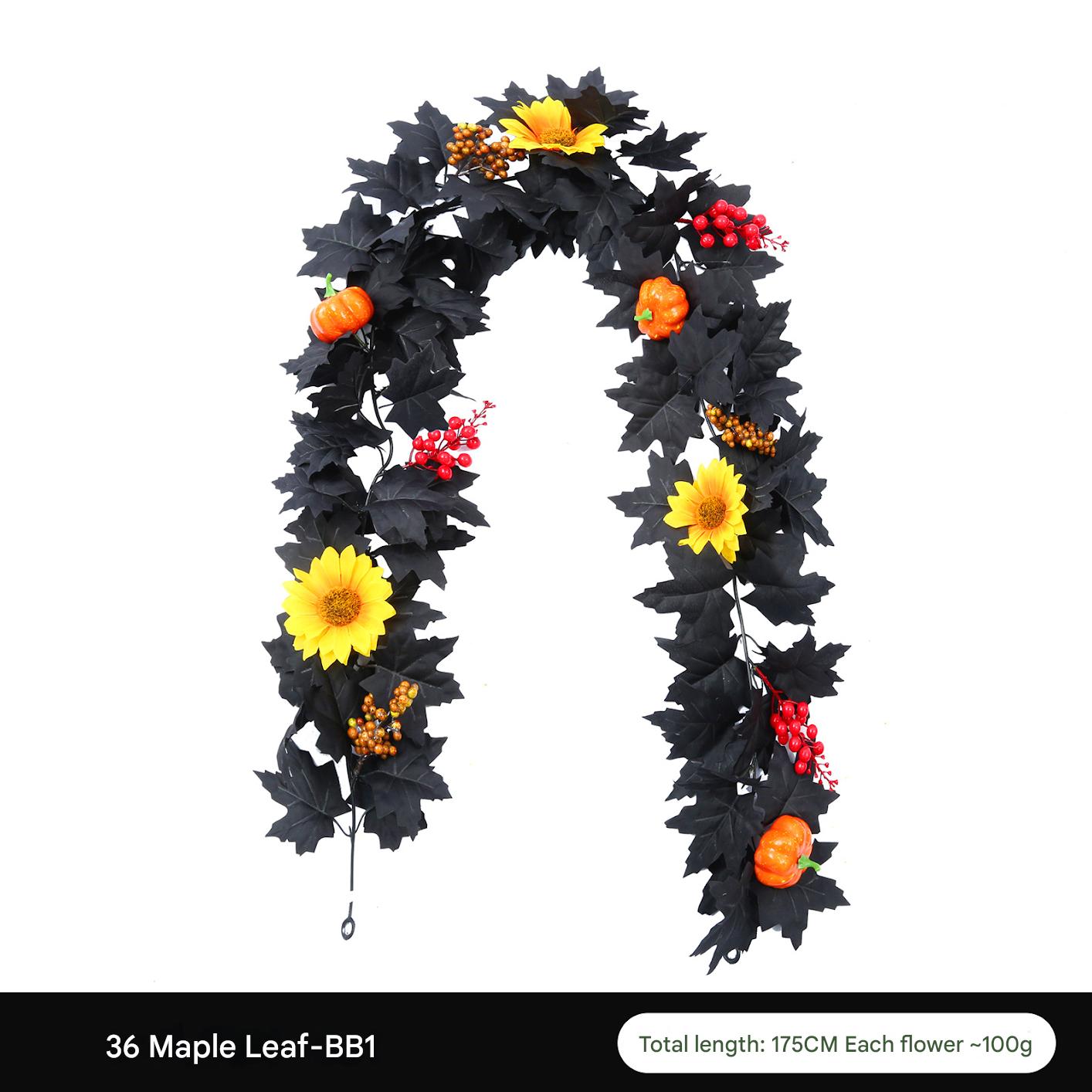 36 heads-BB1
