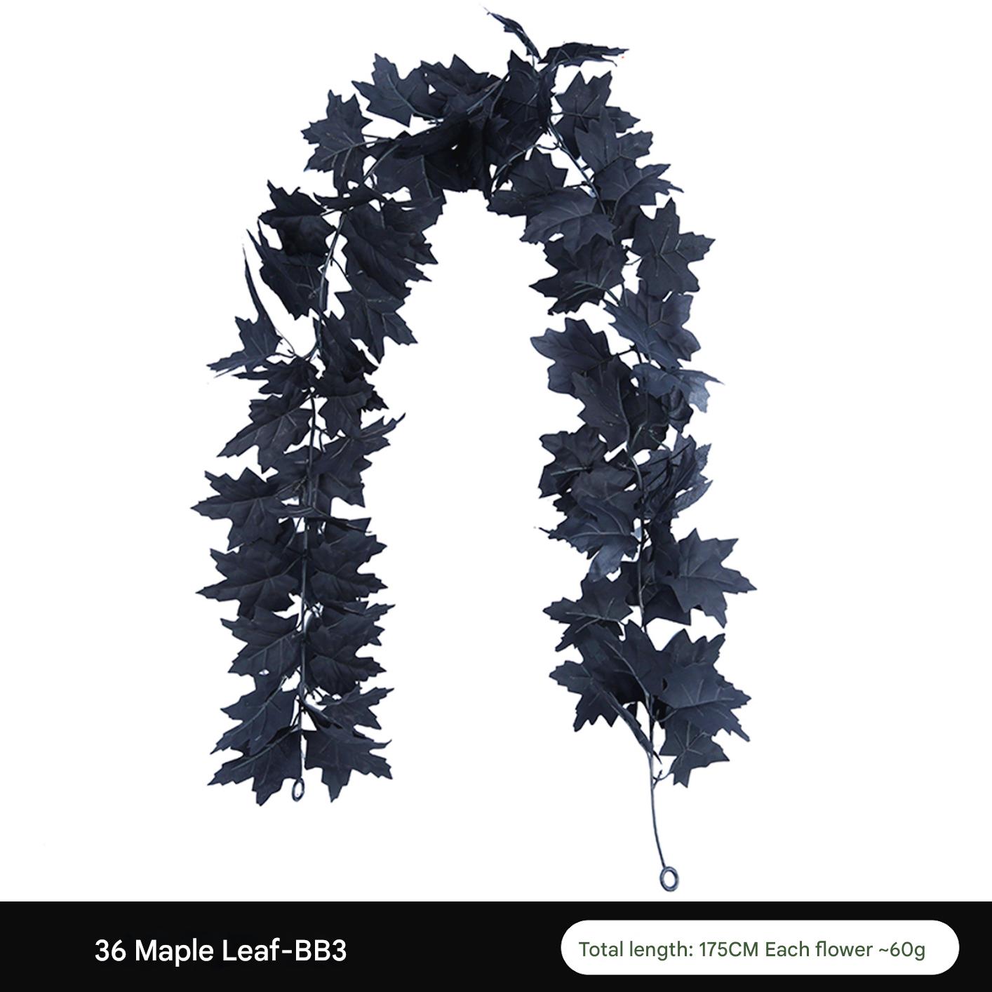 36 head-BB3