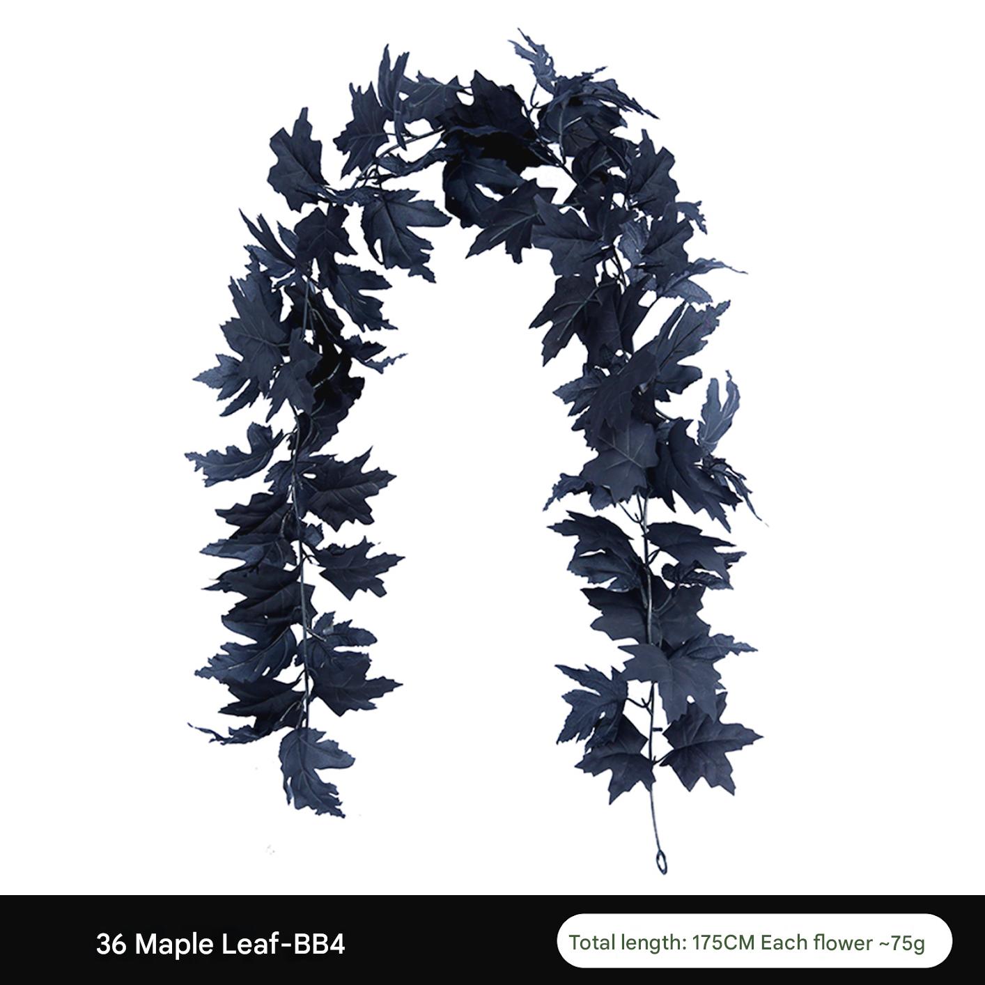 36 head-BB4