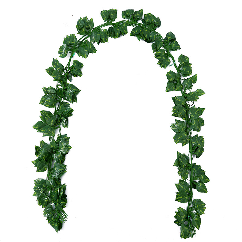 Green dill (a pack of 12pcs)