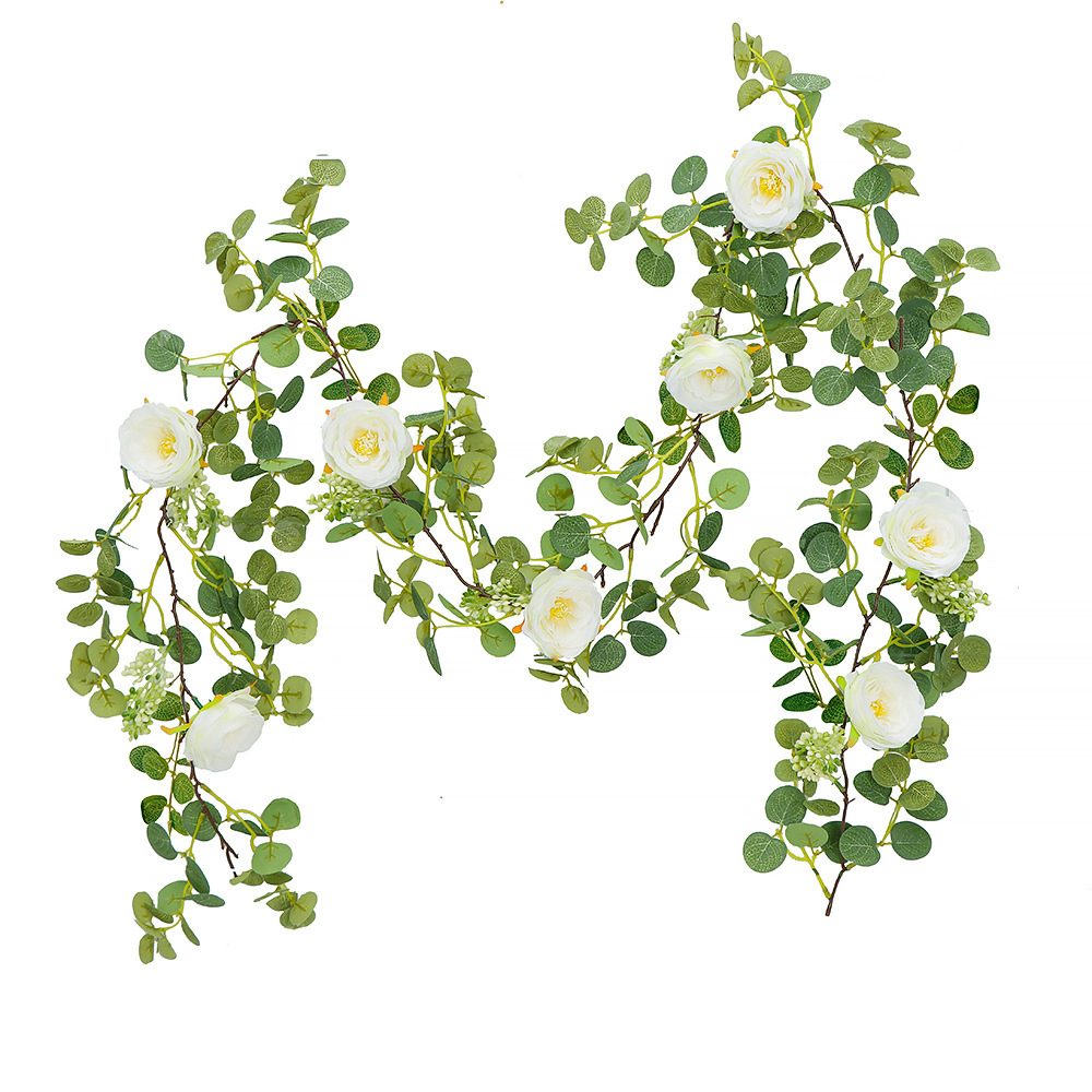money leaf flower vine white