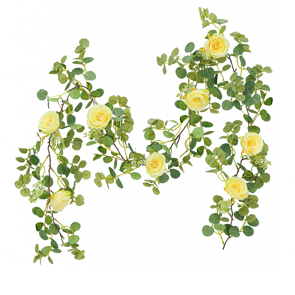 money leaf flower vine yellow