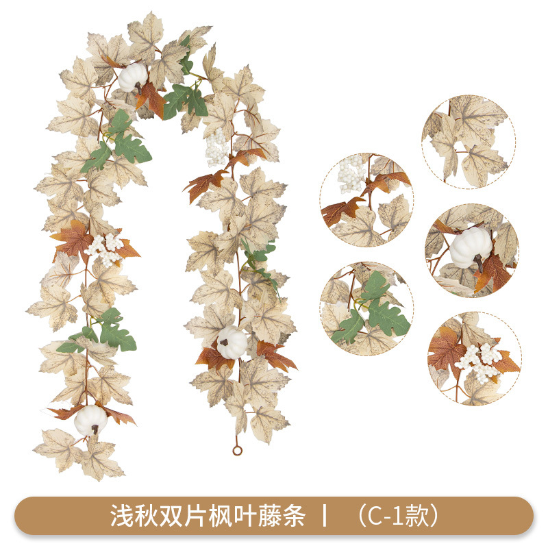 shallow autumn C- 1