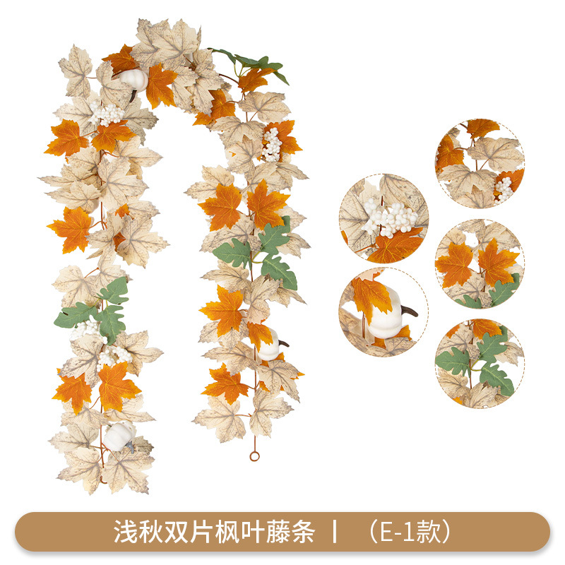 shallow autumn EV-1