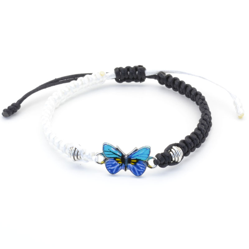 Black and white two-color blue butterfly