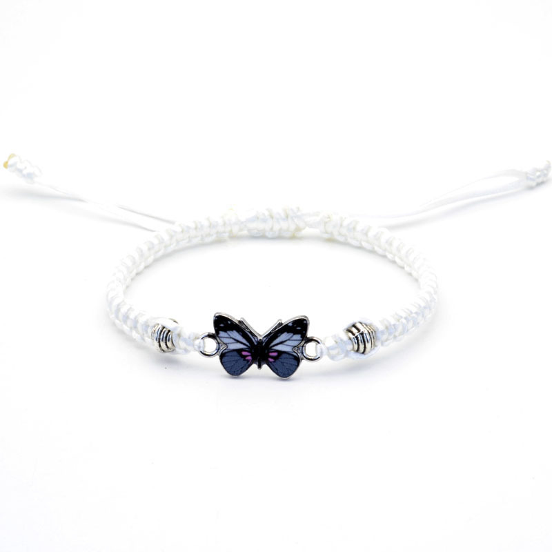 White line Gray butterfly