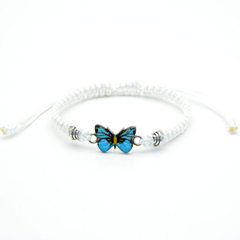 White line blue butterfly