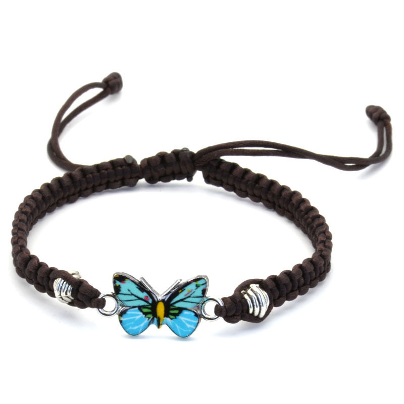 Brown Line Blue Butterfly