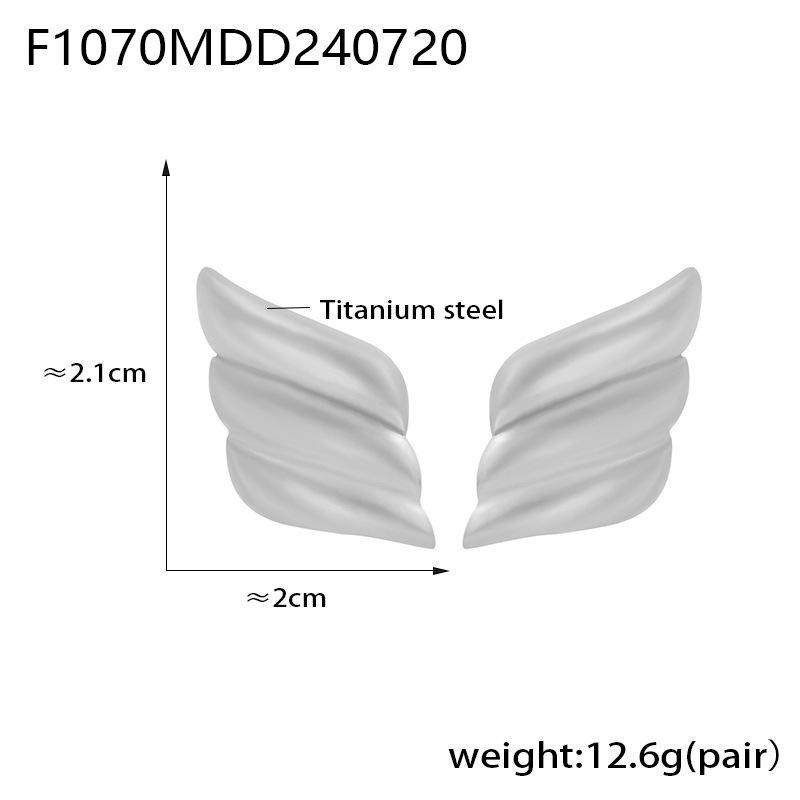 F1070-steel color earrings