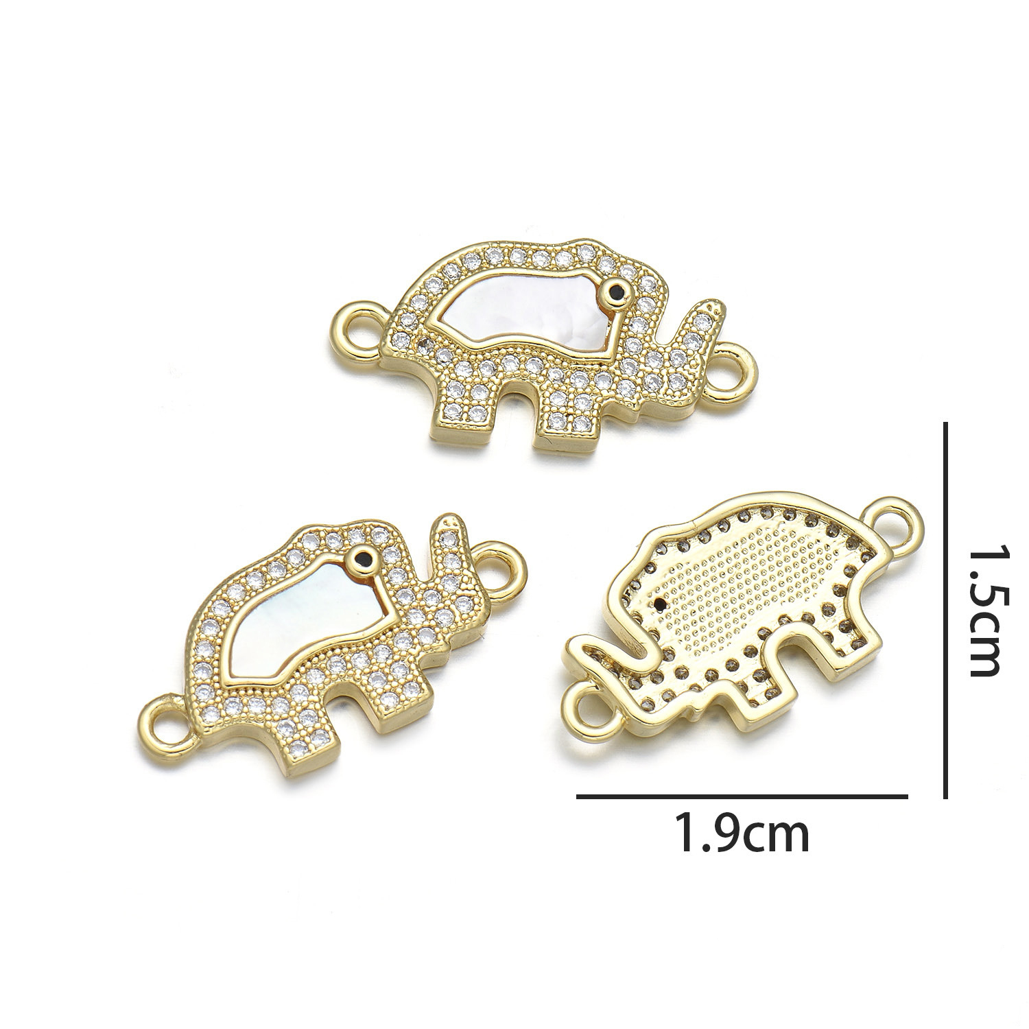 Elephant hand (natural shell)