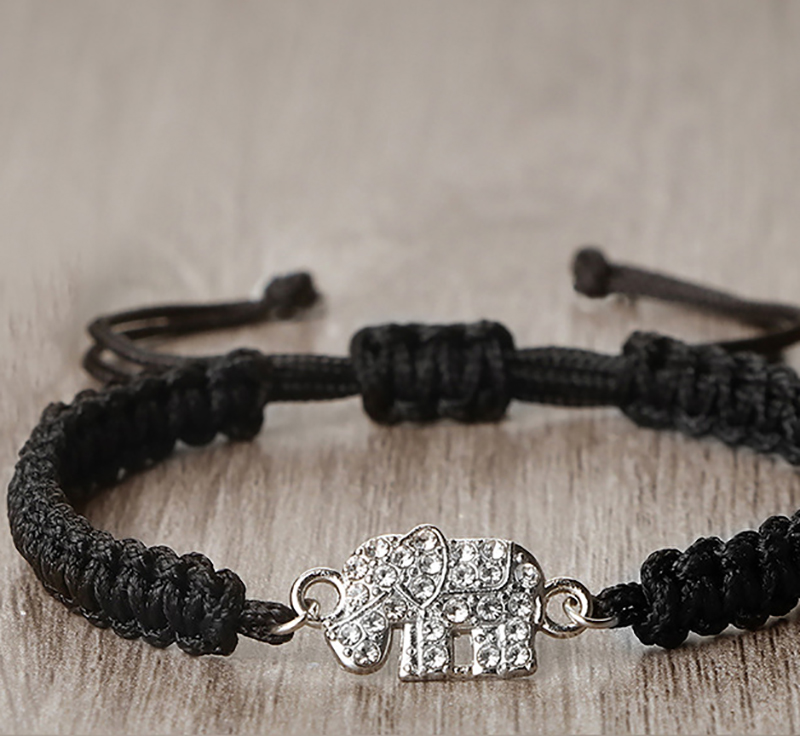 Little black elephant