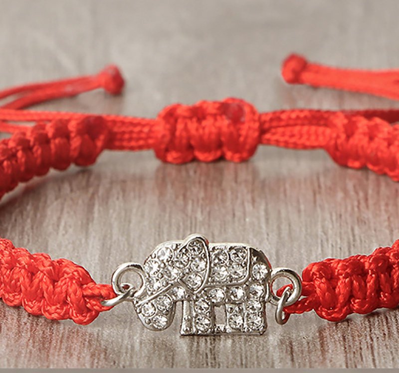 The little red elephant
