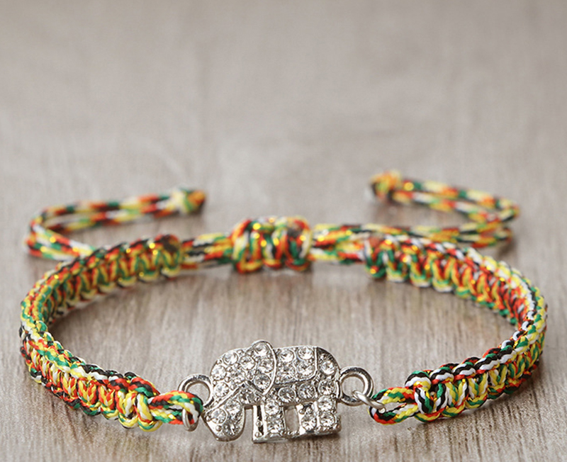 Colorful little elephant