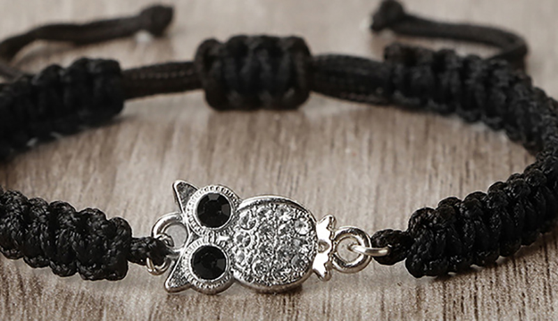 Black owl