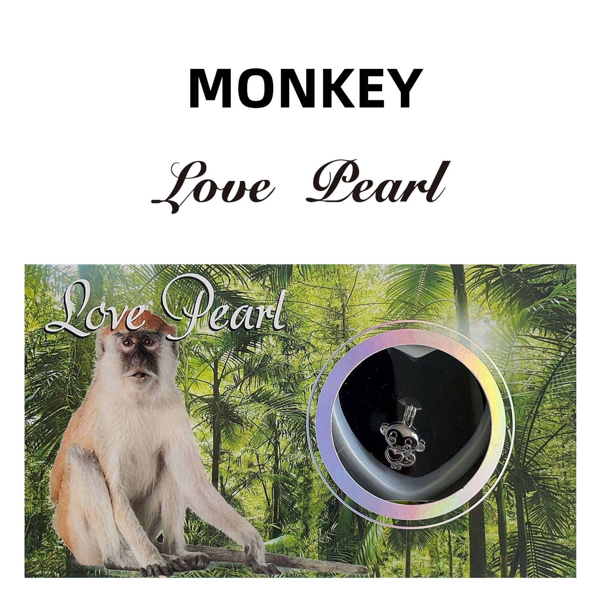 Monkey
