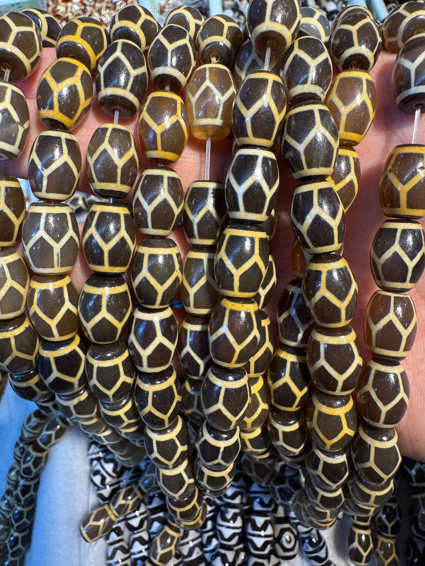 Coated tooth yellow tortoise shell