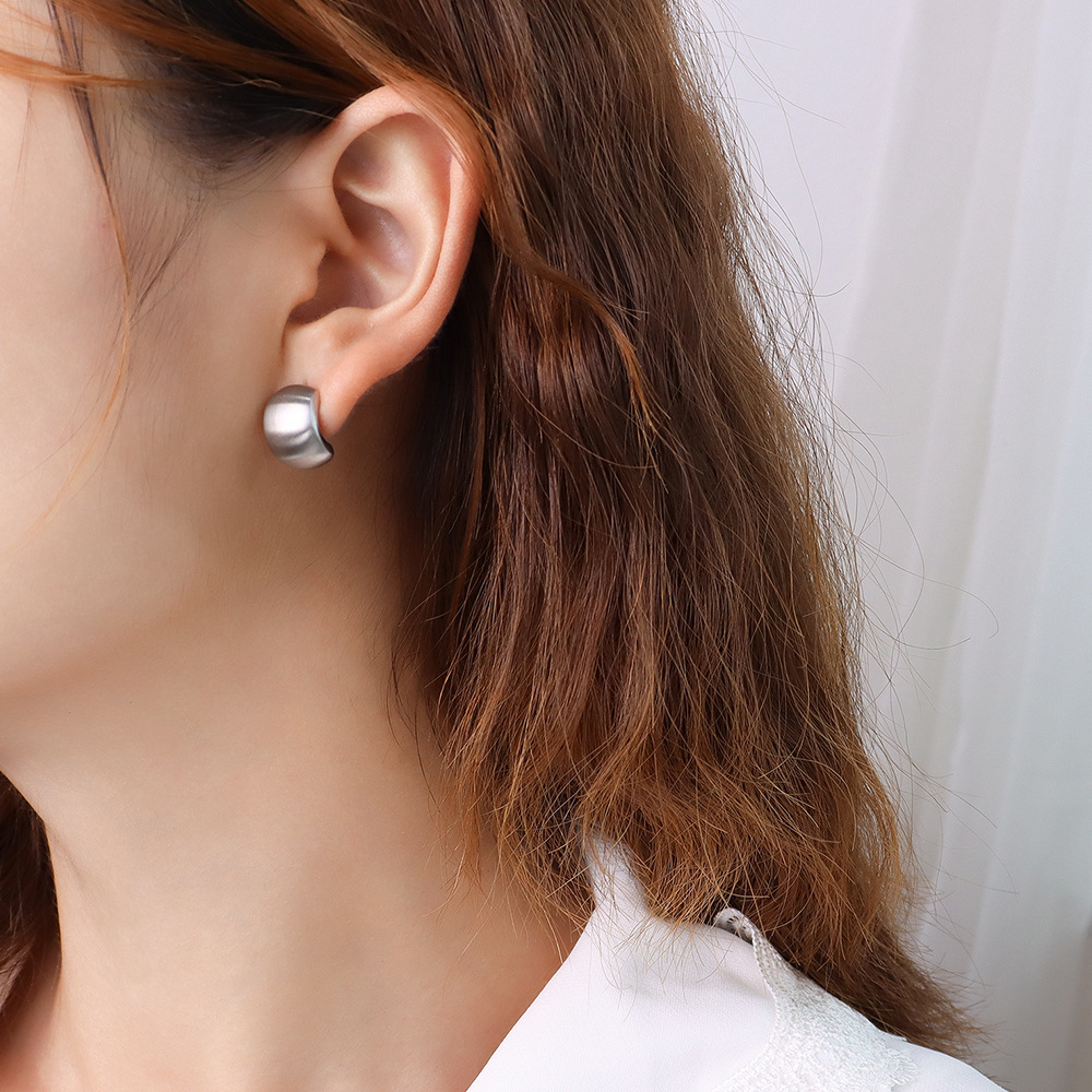 F182-steel color frosted earrings