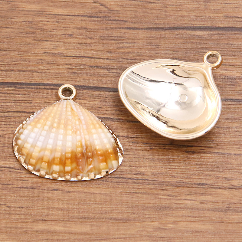 Shell No. 1 measures 26X27mm