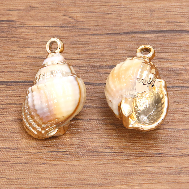 Shell No. 6 measures 19X31mm