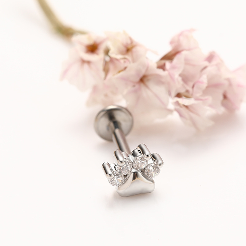 Silver glossy cat paw