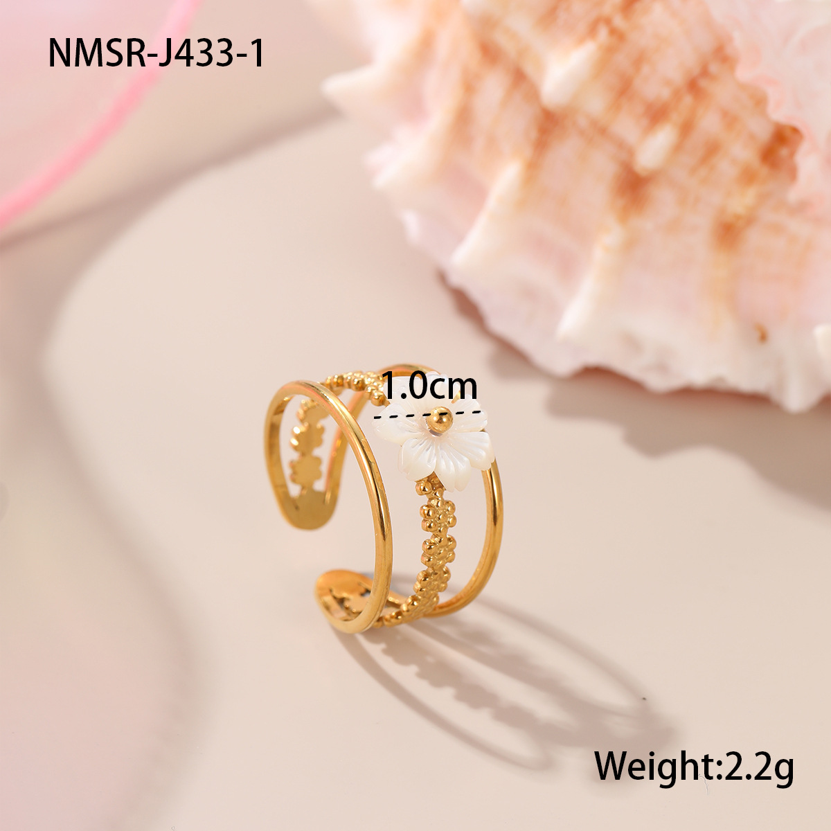NMSR-J433-1